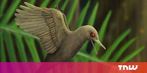 World’s smallest dinosaur discovered in a 99-million-year-old piece of amber