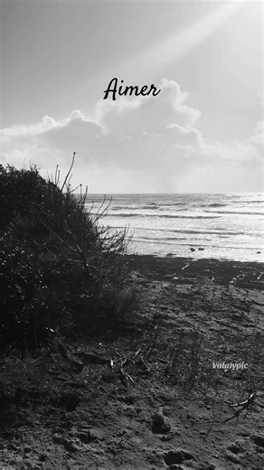 Aimer #romeoetjuliette #chansonfrancaise #comediemusicale #amour #unebellechanson @valatypic