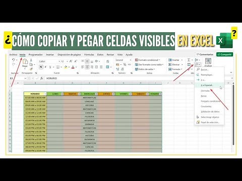 COMO COPIAR Y PEGAR CELDAS VISIBLES EN EXCEL