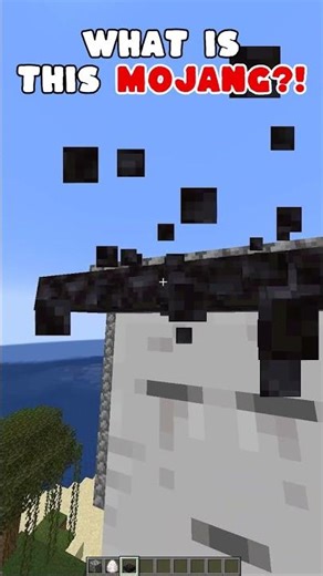 What Is This Mojang?!💀 #minecraft #shorts