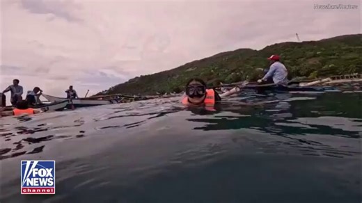 Una mujer en Filipinas se llevó una sorpresa inesperada cuando un enorme tiburón ballena se acercó sin que ella se diera cuenta y le dio un empujón en el brazo mientras posaba para unas fotos submarinas.