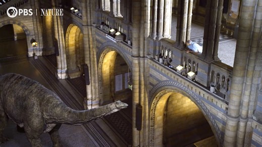 Sir David Attenborough Befriends a Giant Animated Dinosaur at the Natural History Museum in London