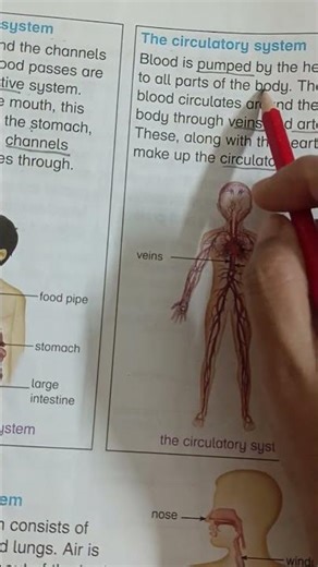 For further educational videos subscribe to my channel