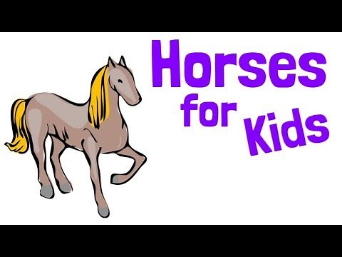 Horses for Kids
