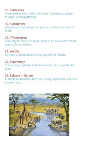 class 7th science chapter 12| Keywords definition