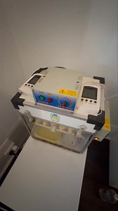 I’m excited. Wife won’t be | Cosi Andrew Costello