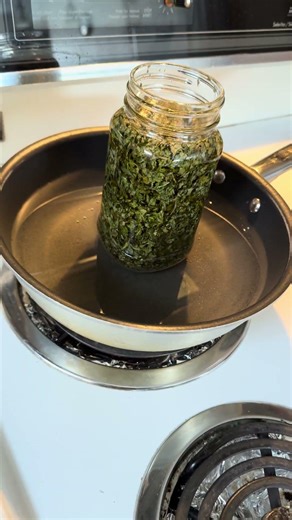 My first attempt to make plantain salve.