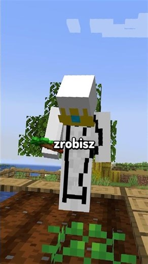 MINECRAFT HONOR SYSTEM