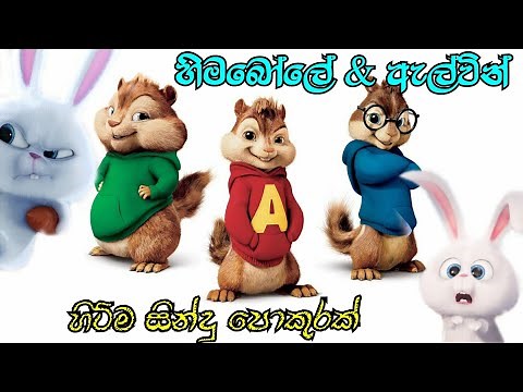 හිමබෝලේ & ඇල්වින් හිට්ම සින්දු පොකුරක් එක දිගට | Himabole & Alvin sinhala song collection video