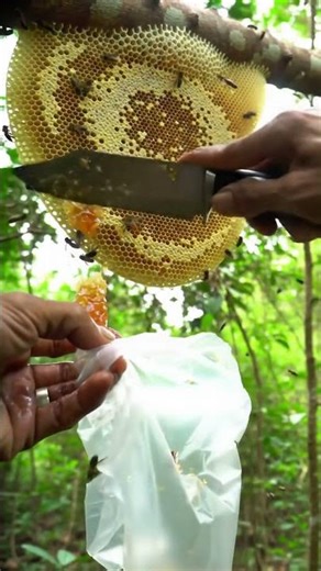This is what 100% PURE honey looks like. #naturalfood