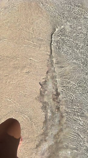 🐖 🌊=perfect day