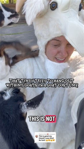 Goats in costume are much better than people in goat costumes 🤣🤣 That Time I Tried To Hang Out With My Goats In A Goat Costume. This was last summer #goats #halloween #spookyseason #nigeriandwarfgoats | Kids On Kerth