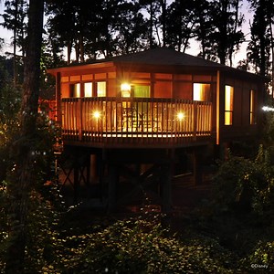 With the magic of Membership you can experience uniquely themed, deluxe accommodations, year after year! ✨ | Disney Vacation Club