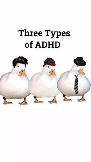 Three types of ADHD explained by ducks#autism#adhd#explain#storytime#storytime