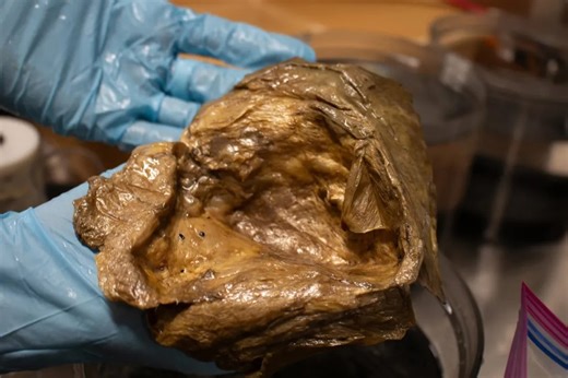 Scientists identify mysterious 'golden orb' found on ocean floor