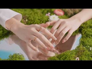 Aster | September Birth Flower Collection