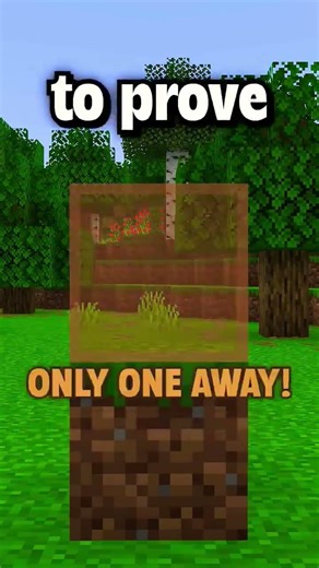 DO_NOT_CHECK_THE_SOUND_PLS_‪@Biggaming_2014‬ #minecraft #like #shorts