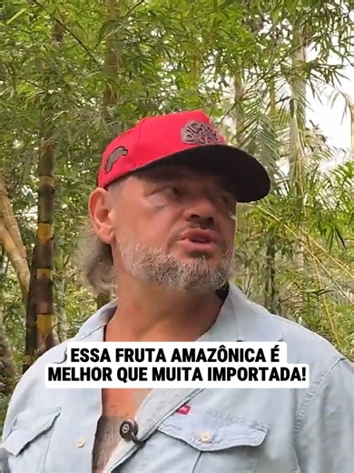 Parte 2 | ESSA FRUTA AMAZÔNICA É MELHOR QUE MUITA IMPORTADA 🥭#biologist
