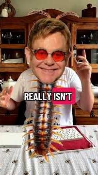 Elton Johnapede VS Pondering Painter #eltonjohn #fights #whowins #battle #comedyskit