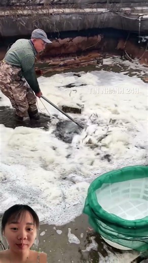 Shrimp farming in China