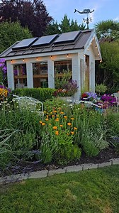 Evening walks through the garden are one of my favorite parts of summer. ✨🌿 The flowers are glowing, the air is calm, and Jax is always leading the way like he owns the place (he kind of does). Just a slow stroll, lots of summer blooms, and the sweetest garden buddy ever. #cottagegardenstyle #summergarden #summerblooms #cutflowergarden #cottagegarden #pnwgarden #goldenhourgarden #outdoorliving #gardenlife #flowergardening | Shiplap and Shells