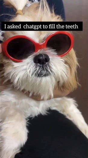 Watch till end 😂 #itsmemilo #milo #comedy #fun #funny #like #viral #share #yt #dogshorts #dogo #pets