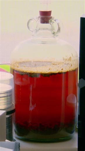 "Cleaning Is One Of My LEAST PRIORITIES!" #cleaning #dirty #shorts