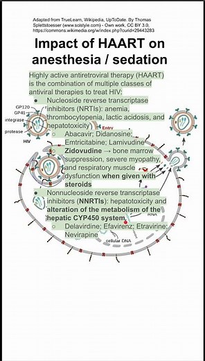 Impact of HAART on anesthesia / sedation