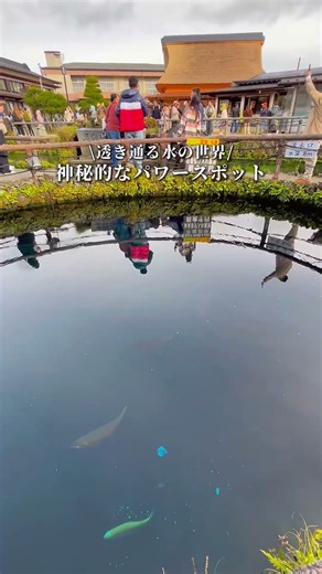 山梨 この冬行きたい 神秘の絶景