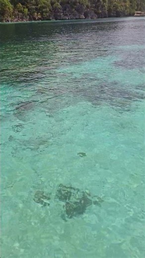 Water looks so clear ! December 6, 2025