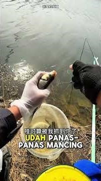 FISHING FOR MONSTER FISH IN THE POND 😱🐟🔥#fishing