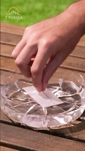 Essential Survival: Crafting a Compass in Nature