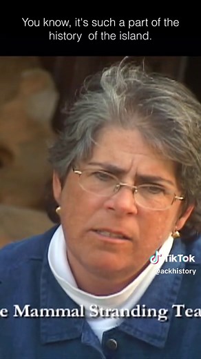 Created exclusively in 2005 for the Nantucket Historical Association by filmmaker John Stanton, this documentary details the laborious process of preparing and assembling the sperm whale skeleton that washed up on the eastern end of Nantucket in 1998. The film features a time-lapse of the assembly as the centerpiece of Gosnell Hall at the Nantucket Whaling Museum. Watch the complete documentary at https://youtu.be/4ebRBWjq6Us. For more information about the events surrounding the whale stranding