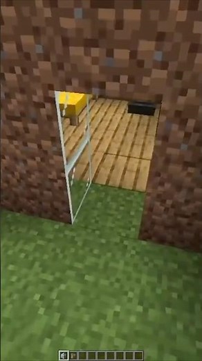 Minecraft fake wall