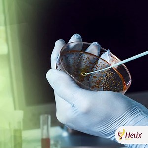 30K views · 24 reactions | Campinas/SP -Curso de Microbiologia...