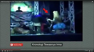 Kobra beisst Sängerin – die 29-Jährige bleibt solange auf der Bühne, bis sie stirbt