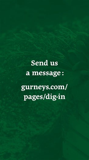 Dig In Episode 6 has arrived! We’re digging into why your apple trees haven’t produced fruit in years—even though they seem healthy and get appropriate fertilizer and sun. 🍎 🌟🍏 Got a garden question of your own? Submit it on our website and watch the full version of Episode 6 of Dig In: https://bit.ly/3MQPKvk | Gurney's Seed and Nursery Co.