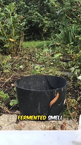 Slug Beer Trap Explained 🤯 | House Ideas