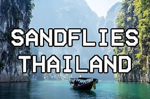 Sandflies Thailand: All Information and tips about sandfly bites in Thailand