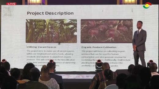 Nana Yaw presents his project, The Community Garden Initiative which envisions making good use of vacant spaces within our neighborhood or schools where residents and students can cultivate fresh produce for consumption, revenue generation and even beautification. #TheTopIntern | TV3 Ghana
