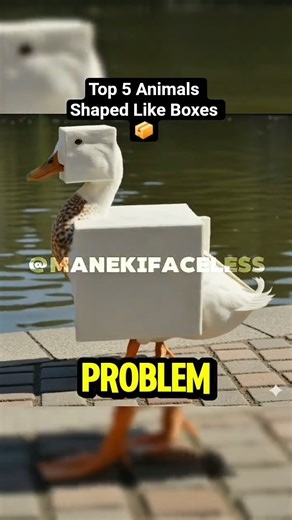 Top 5 Animals Shaped Like Boxes 😺🐶🤯