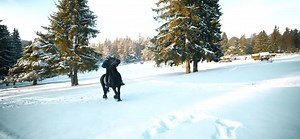 Dani Mocanu - Latura _ Official Video 2022 | Toți Români Sunt Aici Live