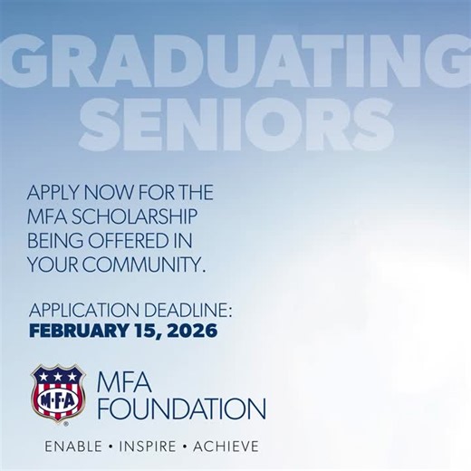 MFA Foundation Scholarship