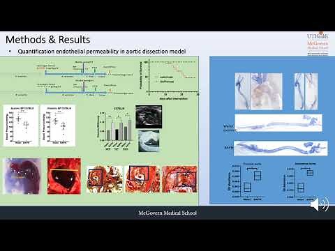 Endothelial dysfunction contributes to the onset of acute aortic dissection