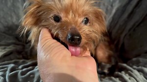 37K views · 2.2K reactions | Here’s a sweet way to start your day❤️...