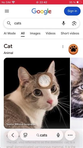 Did it work i promise its working