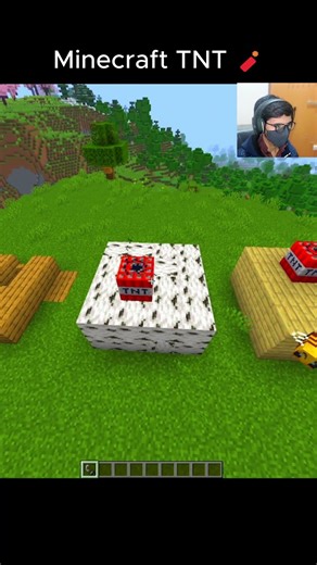 Minecraft TNT Logic is Broken 💣😂 #minecraft