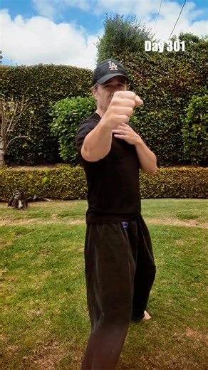 Solo Drill I Use for Kenpo & JKD Training #martialarts #technique