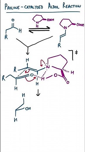 Asymmetric Organocatalysis - Proline Aldol