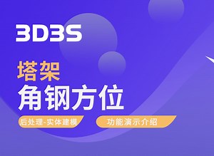 【官方】3D3S实体建模(塔架后处理) 丨角钢方位